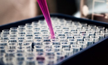 mutaciya genov brca 00